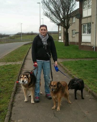 Paisley pet care service